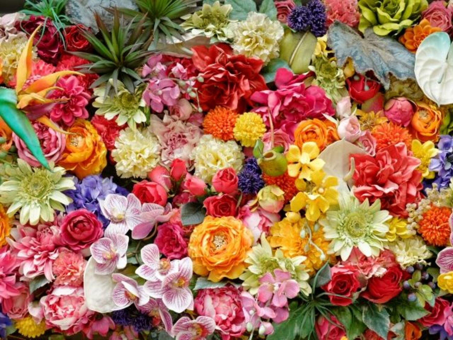 大林宣彦監督のSMAP『世界に一つだけの花』にまつわるエピソードに、稲垣吾郎も感動の画像