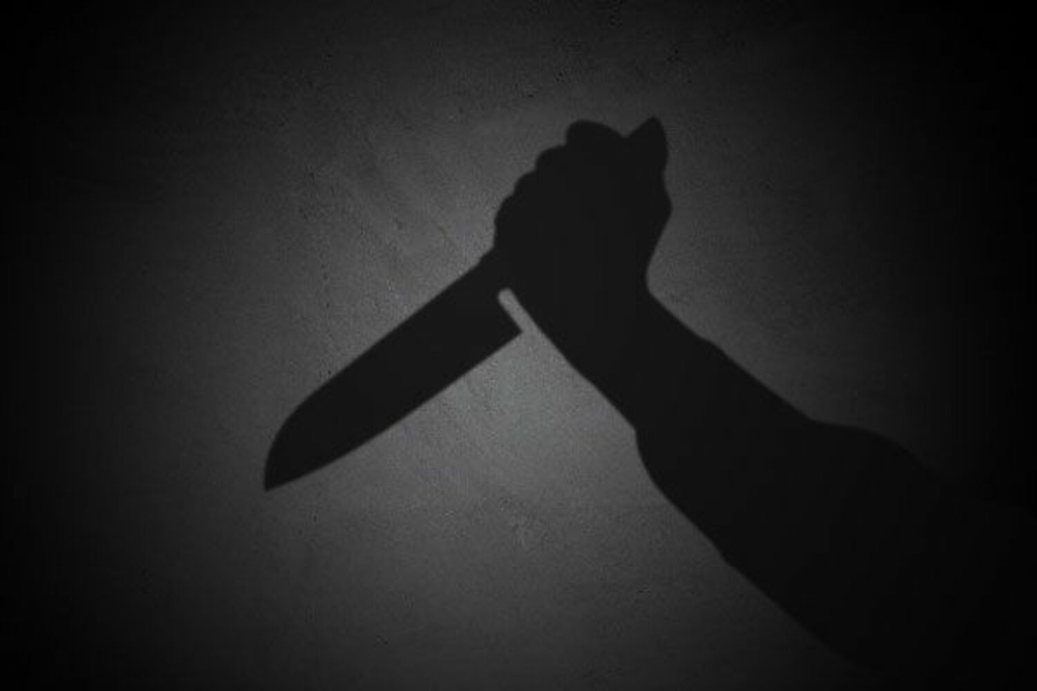 元アイドル本田理沙「ナイフで脅され服を脱がされた」恐怖のストーカー被害を激白の画像