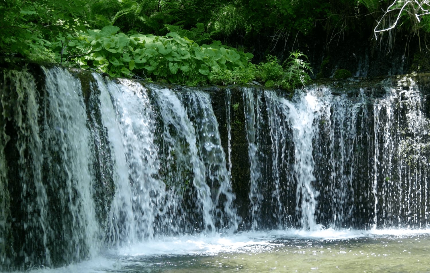 猛暑に動画で涼をとる！　見るだけで涼しい「軽井沢の滝」3選の画像