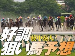 【G1マイルチャンピオンシップ】得意の京都競馬場でエアスピネル「薮中泰人　中間調教報告」