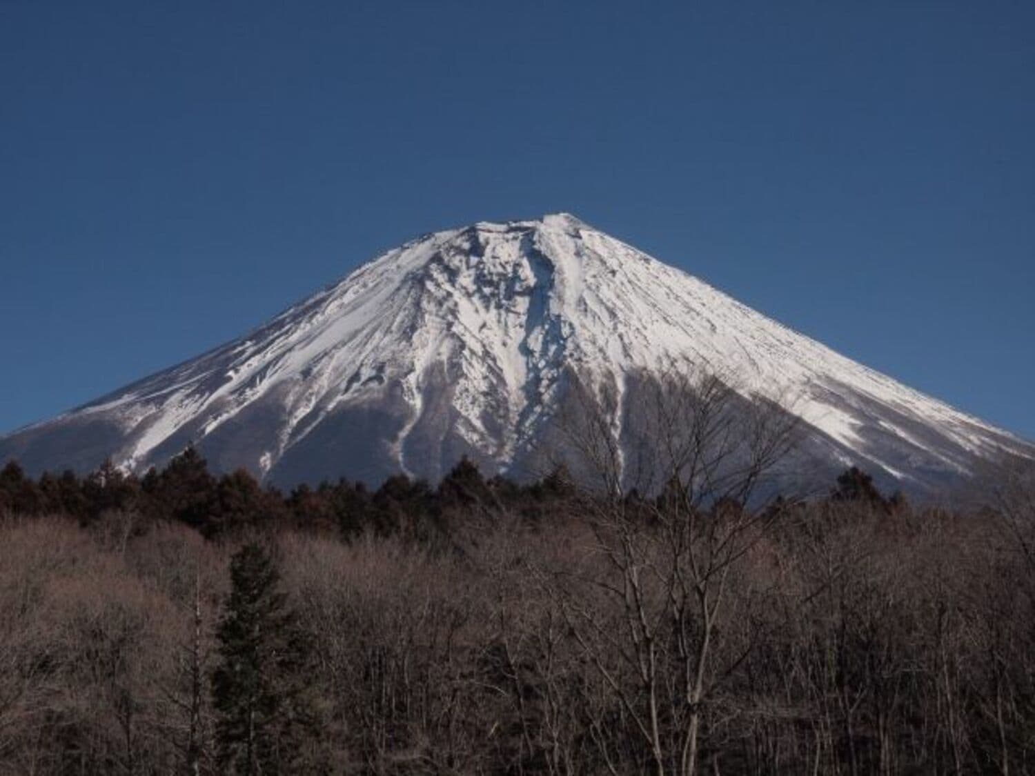 「富士山麓の怪談」オウム真理教・麻原彰晃がサティアンを建設した理由とはの画像