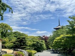 「千年の都」と呼ばれる京都の原点！平安京と造営を巡る「５つの謎」