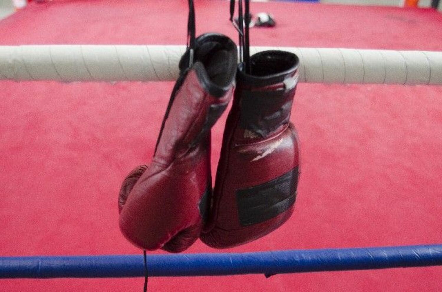 赤井英和「５時間泣いた」息子のボクシング挑戦で妻と大喧嘩！の画像